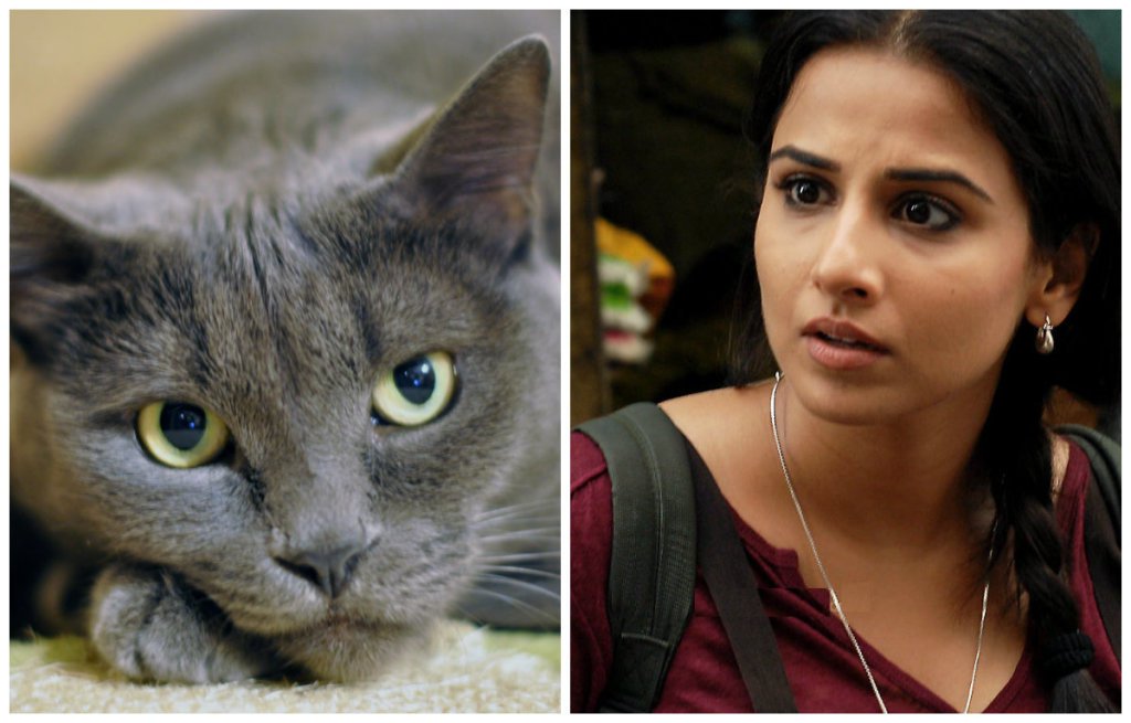 Vidya Balan is Scared of Cats.