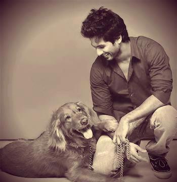 Shahid Kapoor with dog