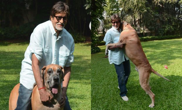 Amitabh Bachchan with pet dog Shanouk
