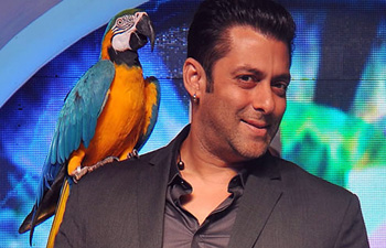 Salman Khan in Big Boss