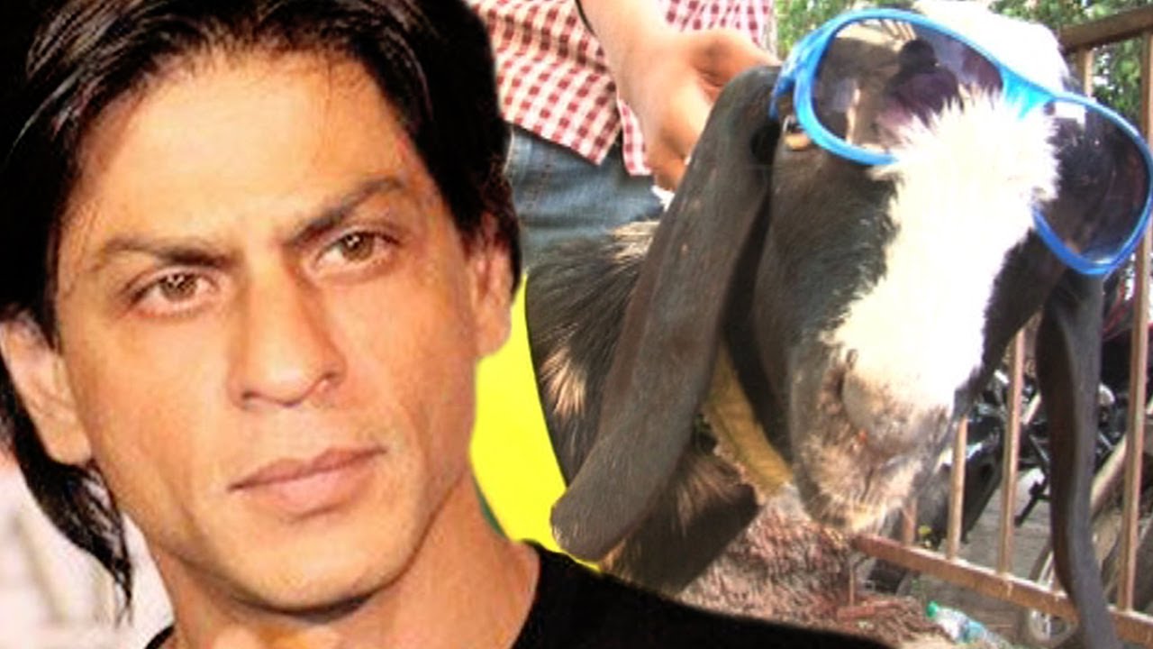 Shah Rukh Khan and Bakra Controversy