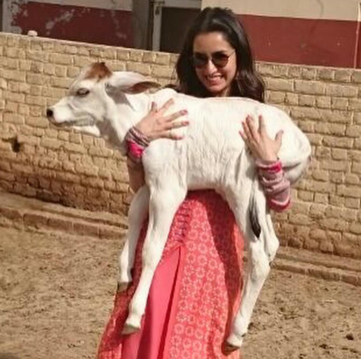 Shraddha Kapoor with goat