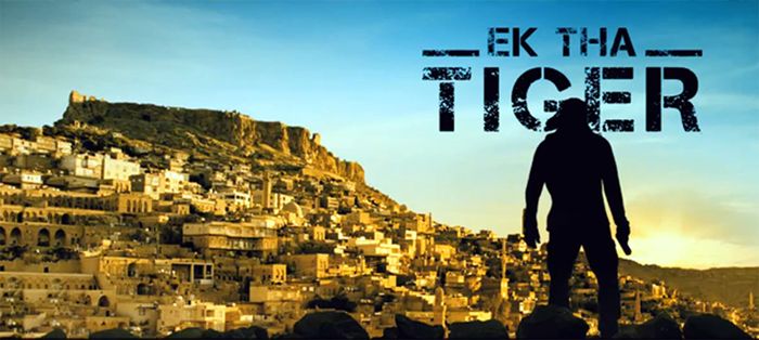 Ek Tha Tiger, Salman Khan