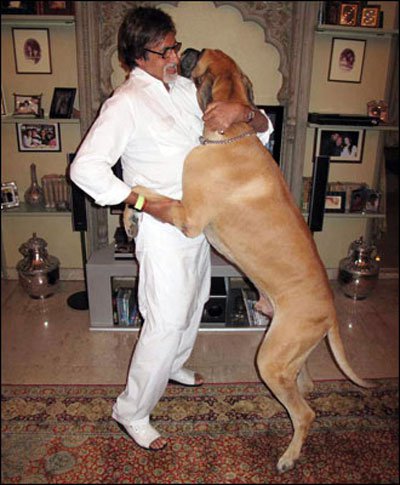 Amitabh Bachchan with his dog