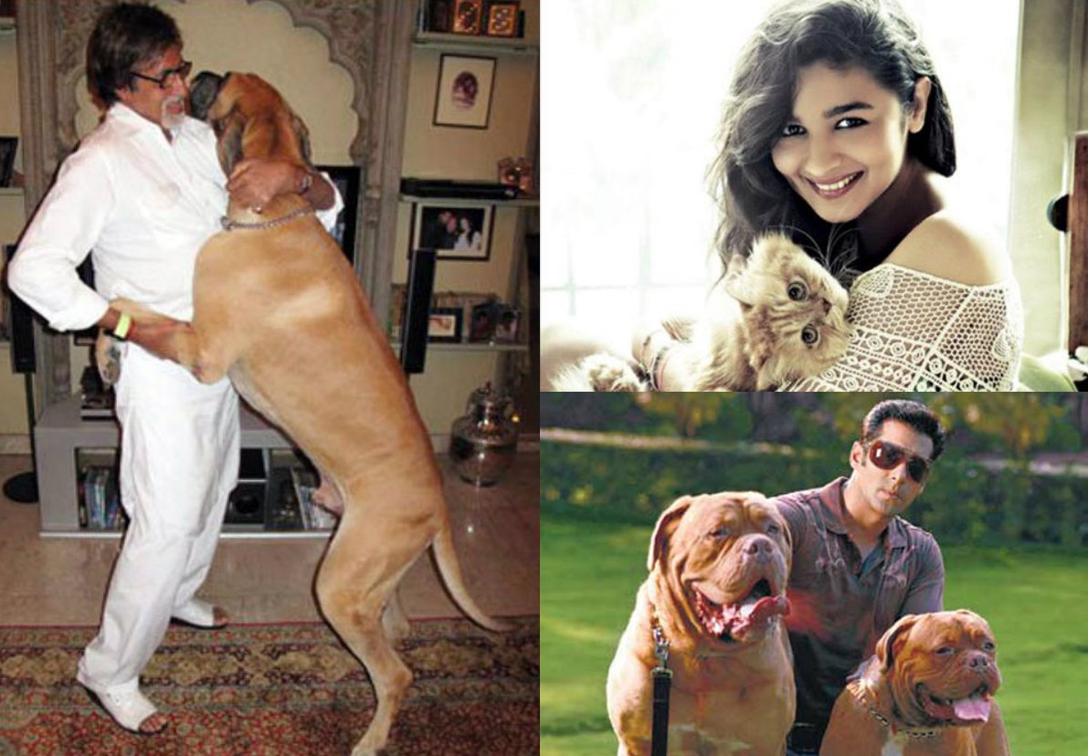 Bollywood celebrities with their pets