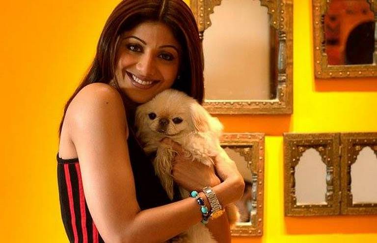 Shilpa Shetty with her dog