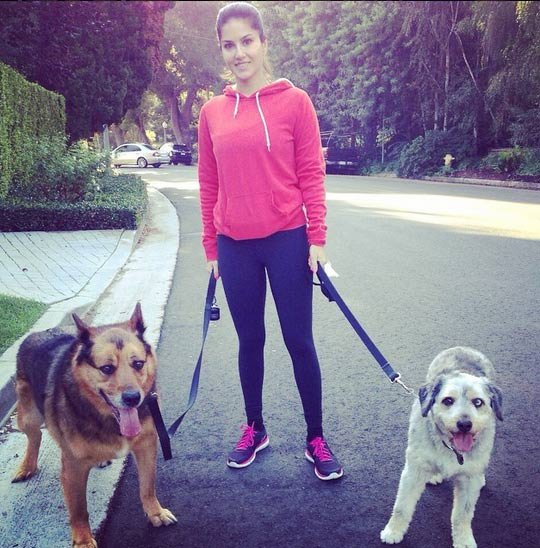 Sunny Leone with her dogs