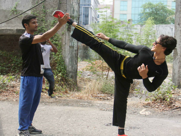 TigerShroff martial arts