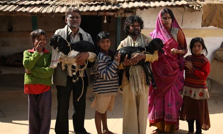 Peepli Live Low-Budget Bollywood Movies Also Ruled The Screens