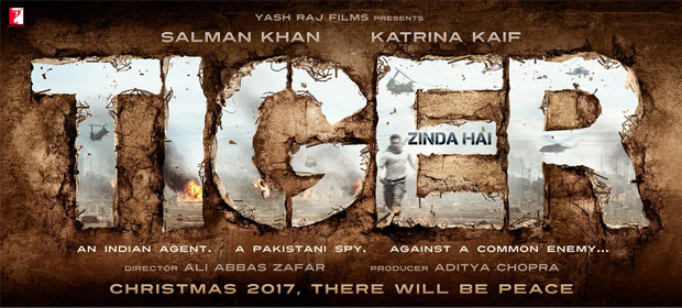 Salman Khan in 'Tiger Zinda Hai'