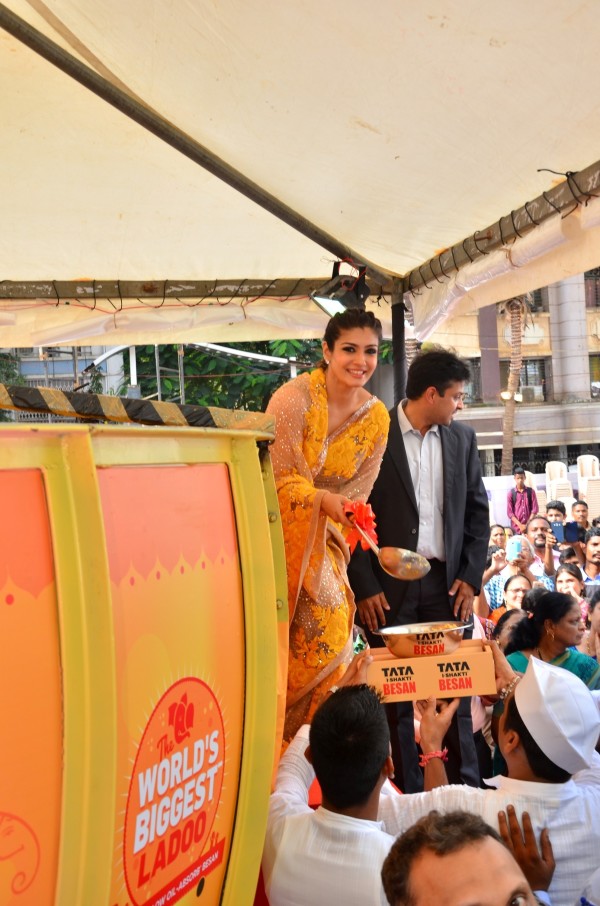 Raveena Tandon in a saree