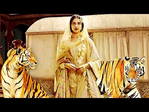 Deepika Padukone with tigers