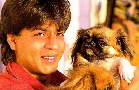 Shah Rukh Khan with his pet