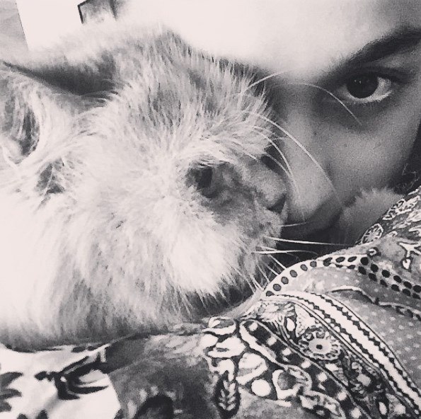 Alia Bhatt's adorable selfie with her pet pal.