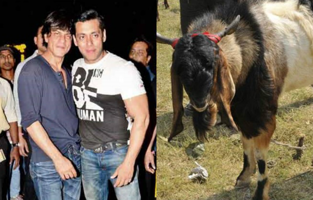 Salman Khan- Shah Rukh Khan