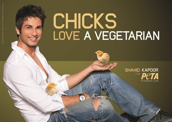 Shahid Kapoor campaigning for PETA