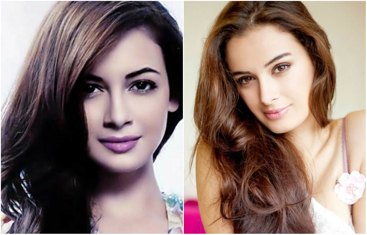 Dia Mirza's Bollywood lookalike would be Evelyn Sharma