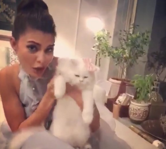 Watch - Jacqueline Fernandez & her cute kitty's 'Prem Ratan Dhan Payo' Dubsmash
