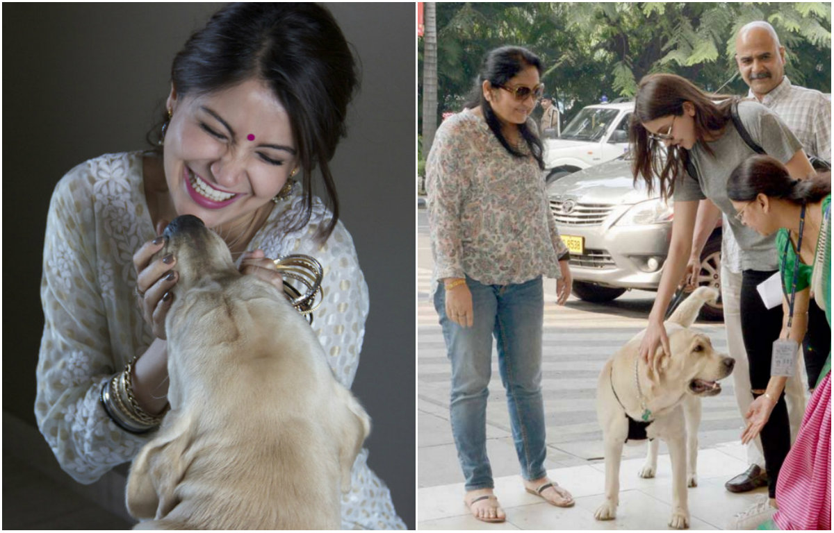 Anushka Sharma with her pet pal 'Dude'