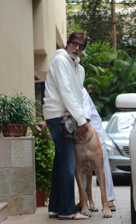 Amitabh Bachchan- Standing Tall