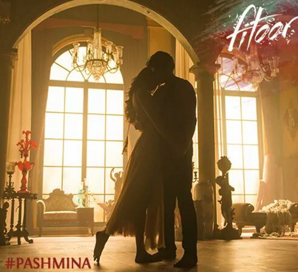 Aditya Roy Kapur , Katrina Kaif romantic pose Pashmina song