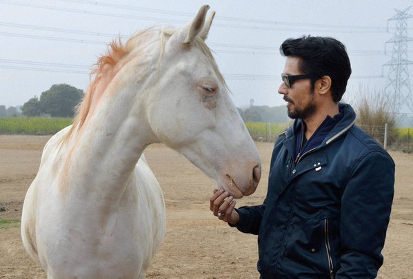 Randeep Hooda with a white horse he adopted