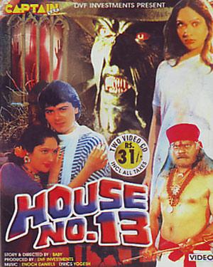 House No. 13 poster
