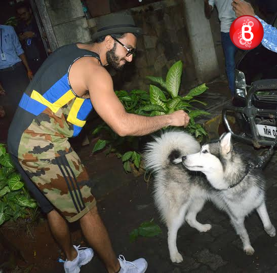 Ranveer Singh with a dog