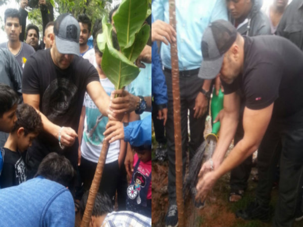 Salman Khan planting tree