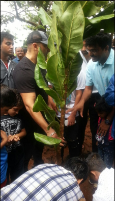 Salman Khan in BMC's tree-planting initiative