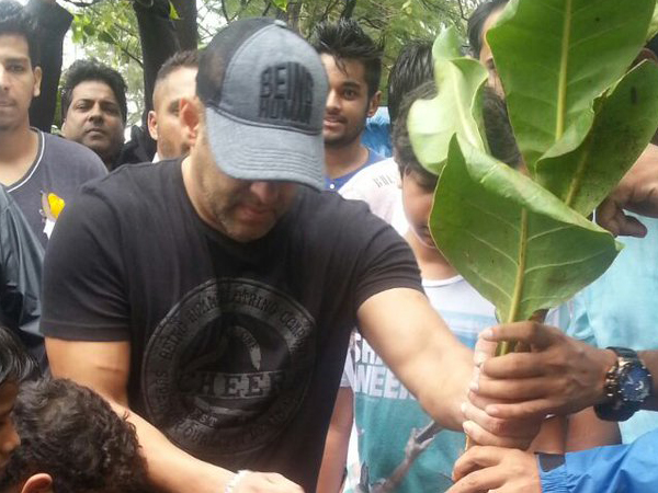 Salman Khan tree plantation drive