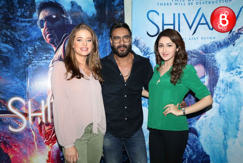 Ajay Devgn, Sayyeshaa Saigal and Erika Kaar at trailer launch of 'Shivaay'