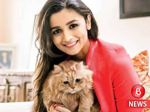 Alia Bhatt animal welfare