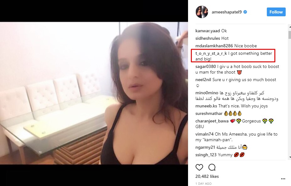 Ameesha trolled on Instagram