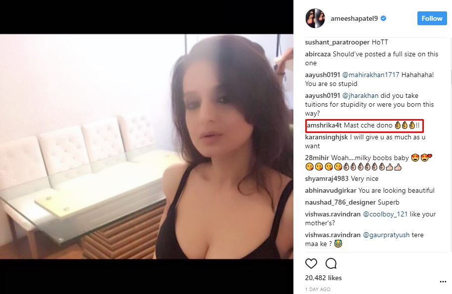 Ameesha trolled on Instagram