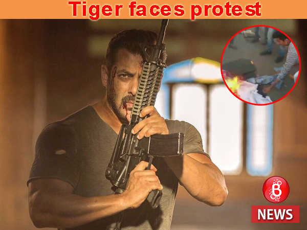 Tiger Zinda Hai