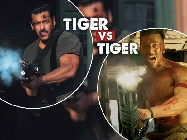 Tiger vs Tiger