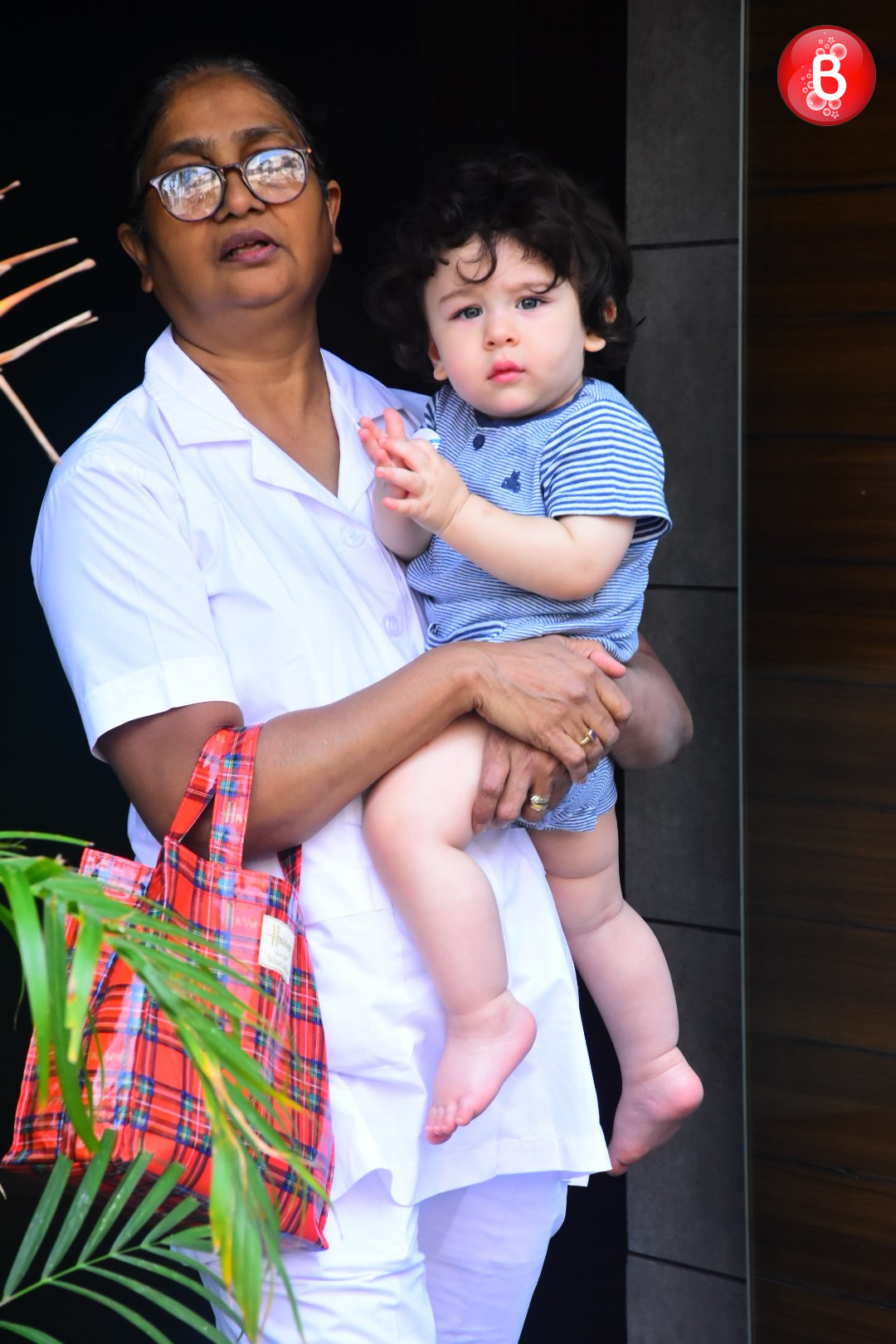 taimur ali khan’s spotted pictures