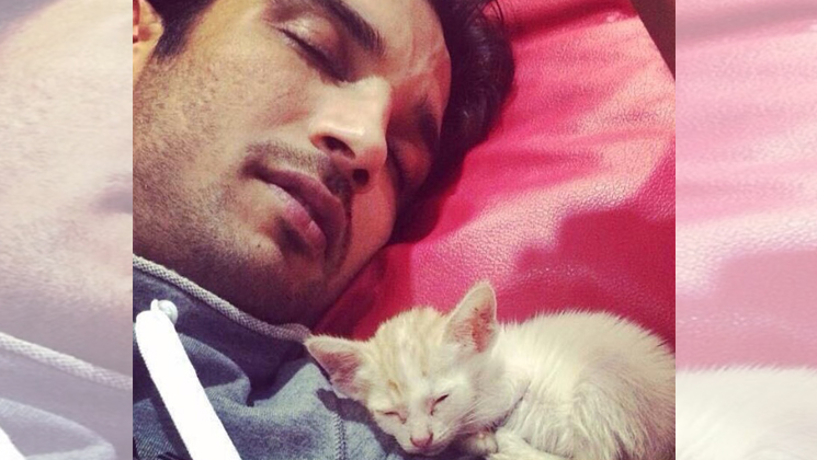 Sushant Singh Rajput with a kitten