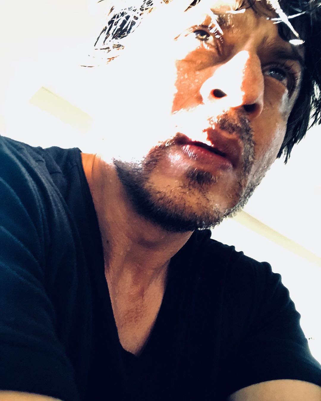 Shah Rukh Khan instagram