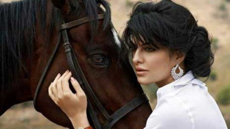 Jacqueline Fernandez gets honoured by PETA once again!