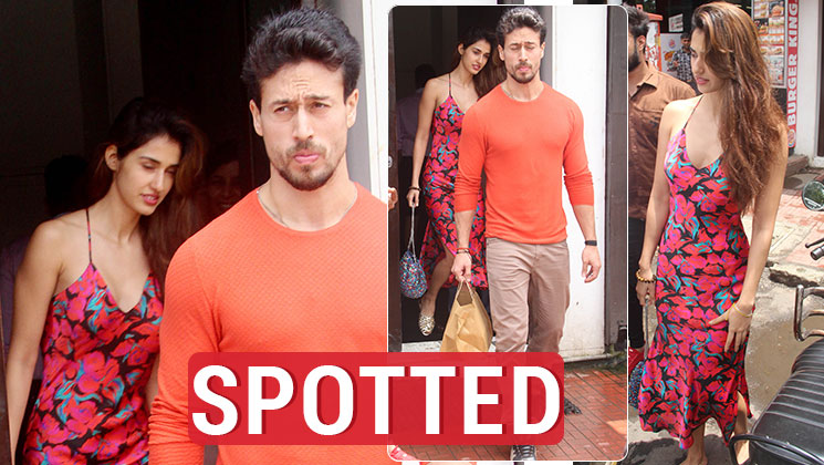 Tiger Disha spotted august 18