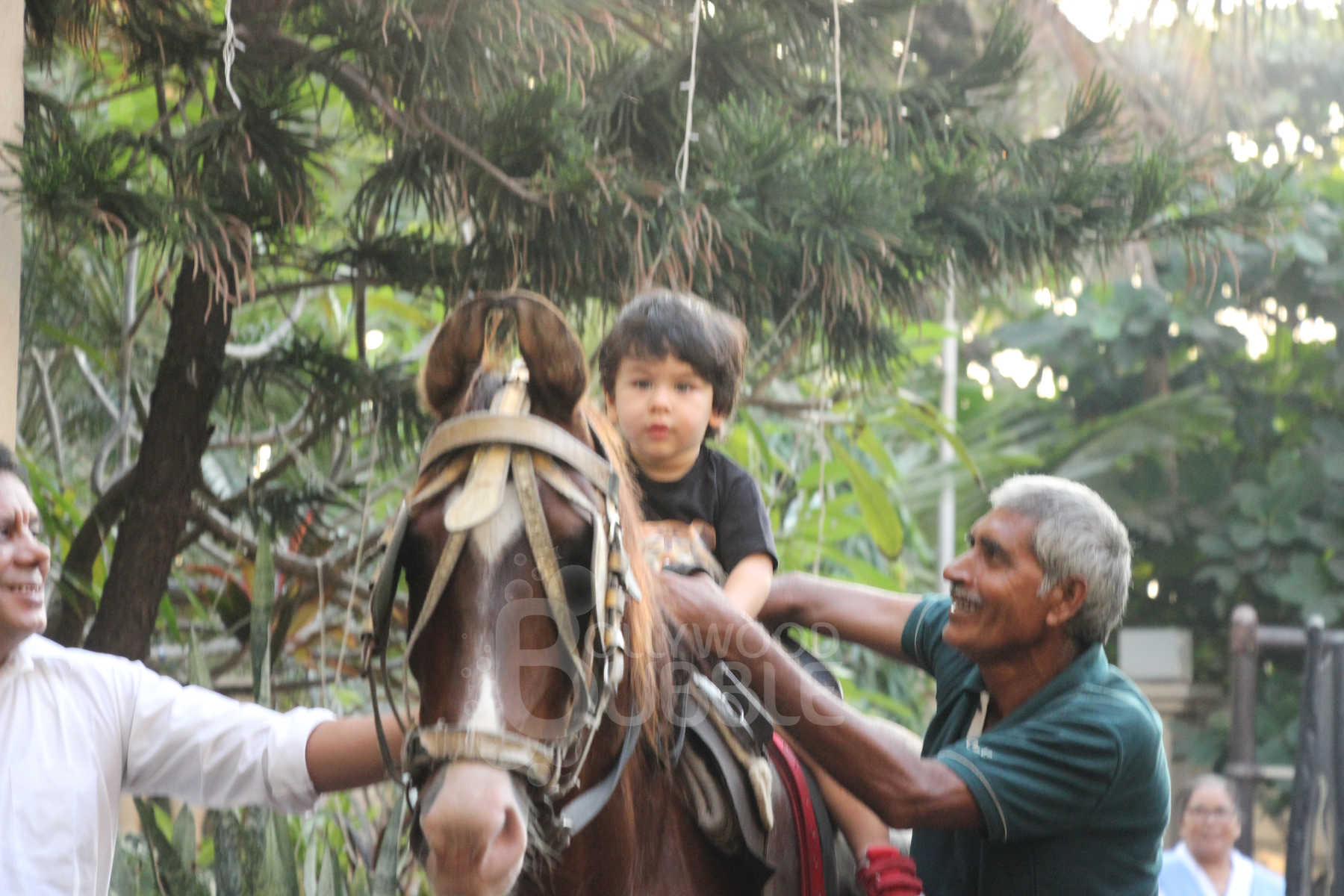 taimur ali khan horse riding pictures november 11