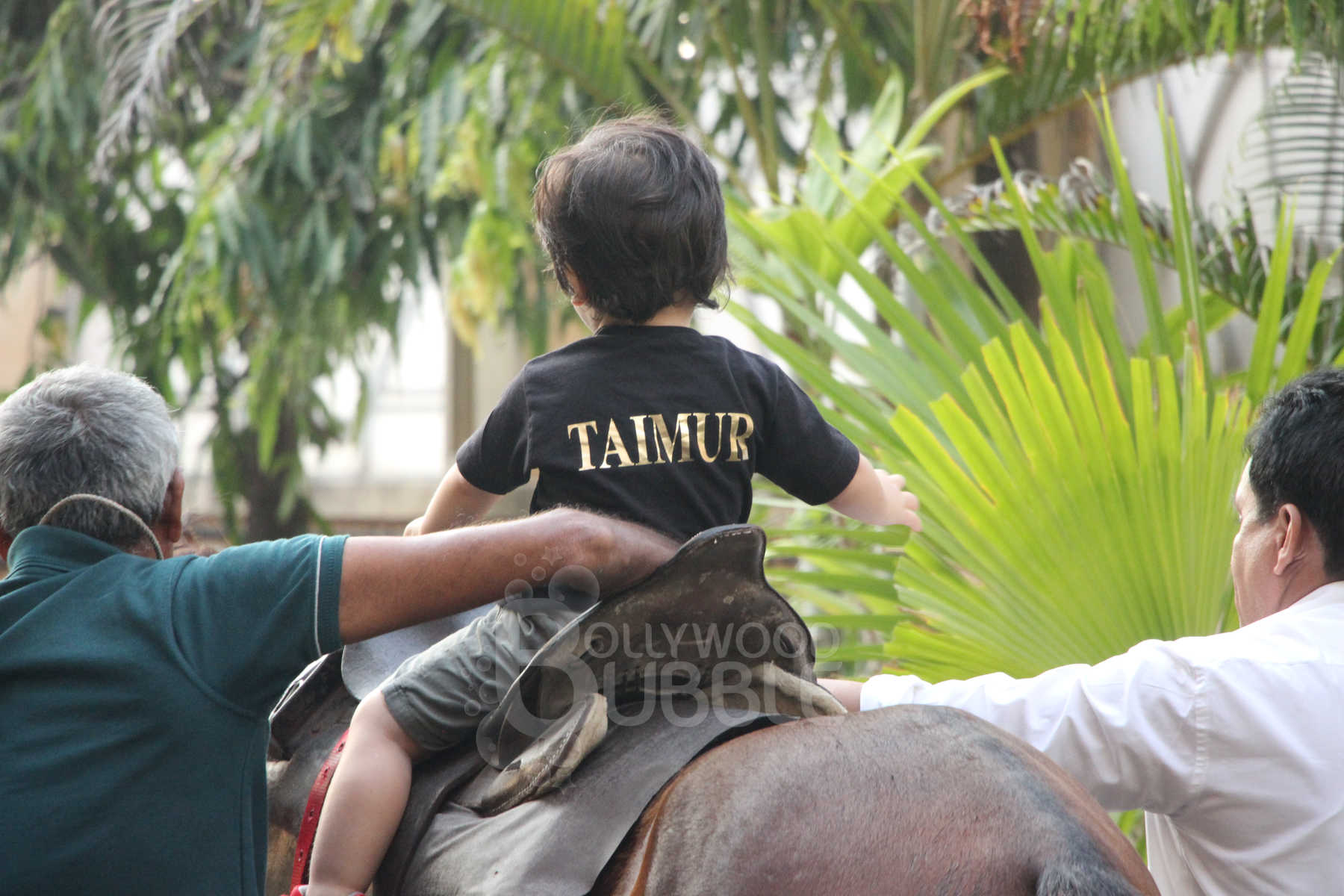 taimur ali khan horse riding pictures november 11