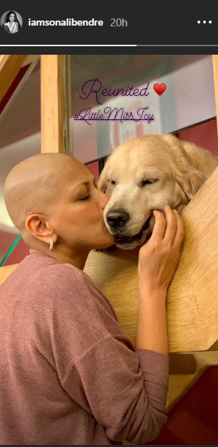 Sonali Bendre with dog pic