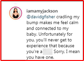 Amy Jackson's reply on troll