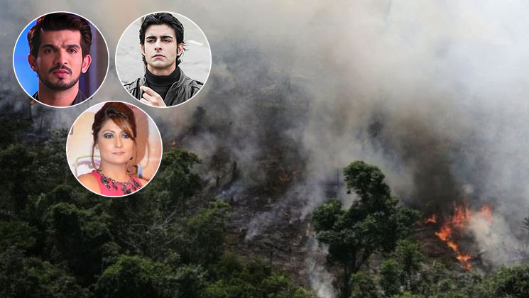 Amazon Rainforest Fire TV celebs