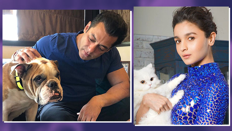 Salman Khan and Alia Bhatt-Bollywood pets