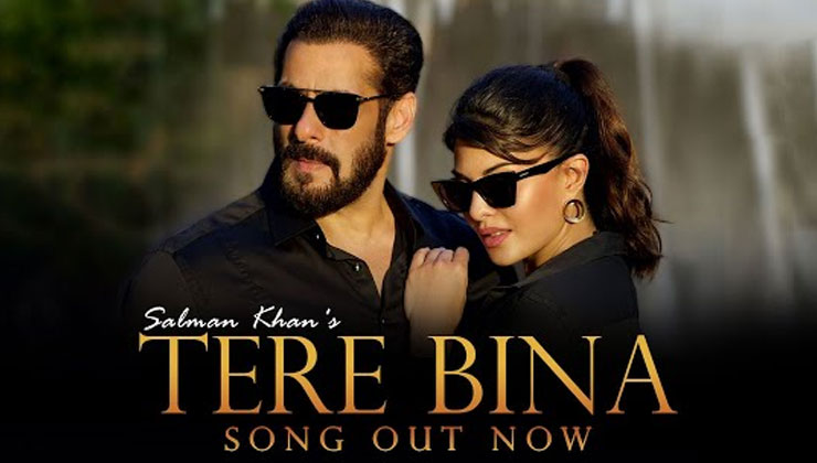 Salman Khan Tere Bina song