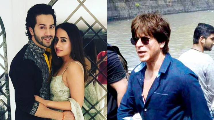 Varun Dhawan and Natasha Dalal wedding Shah rukh khan